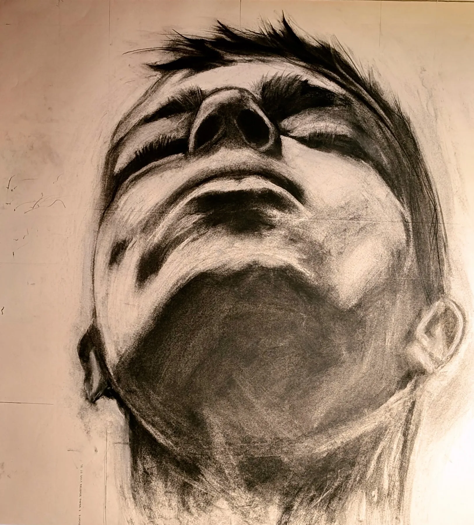 Expressive charcoal portrait viewed from below