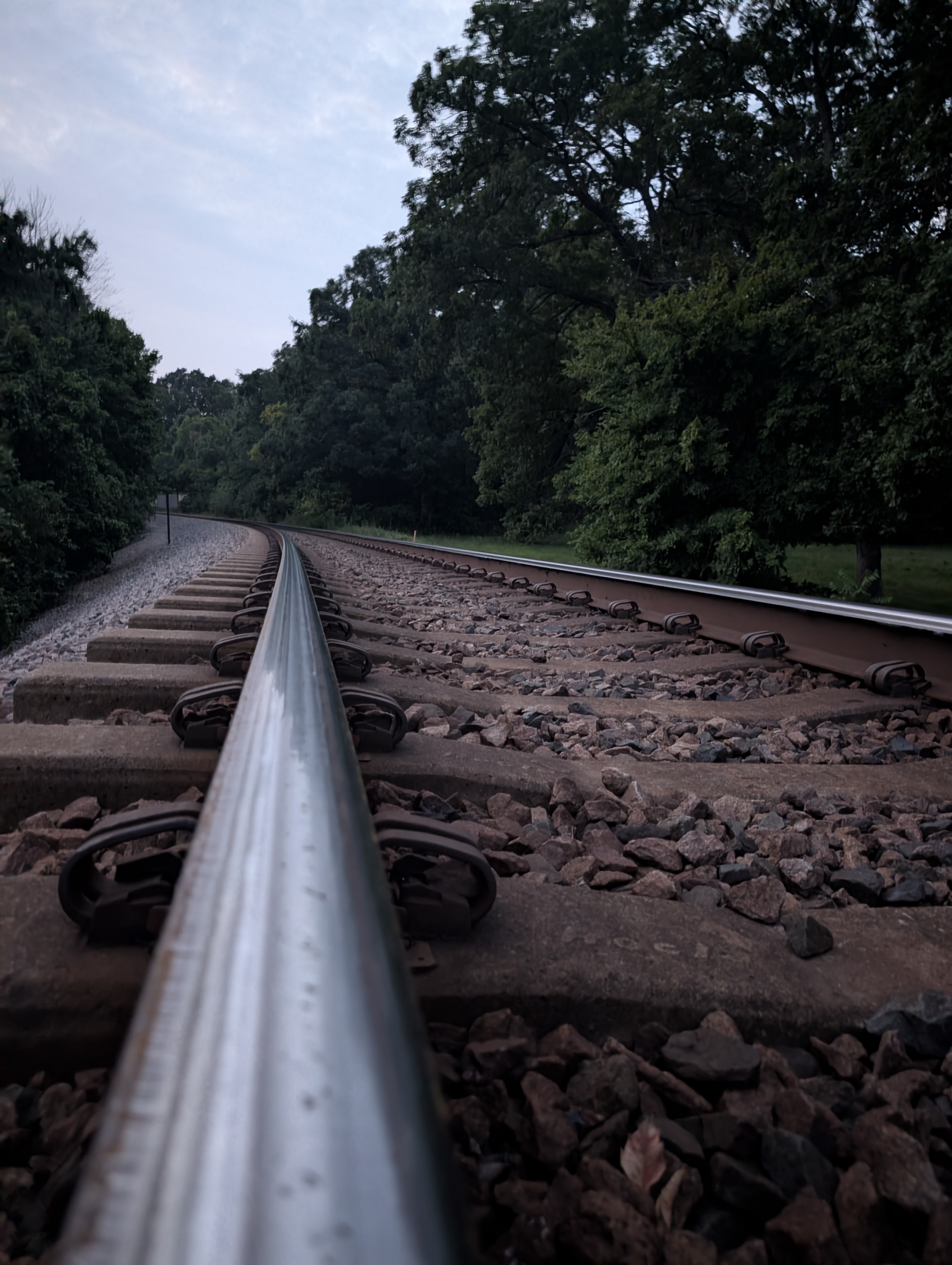 Railroad tracks curving through trees beneath an overcast sky